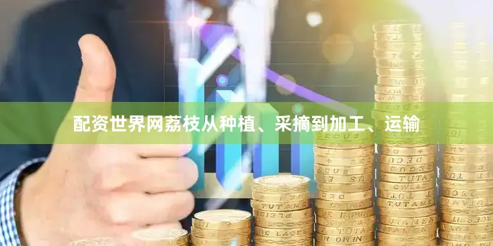 配资世界网荔枝从种植、采摘到加工、运输