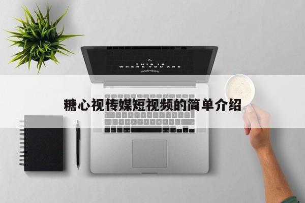 糖心视传媒短视频的简单介绍