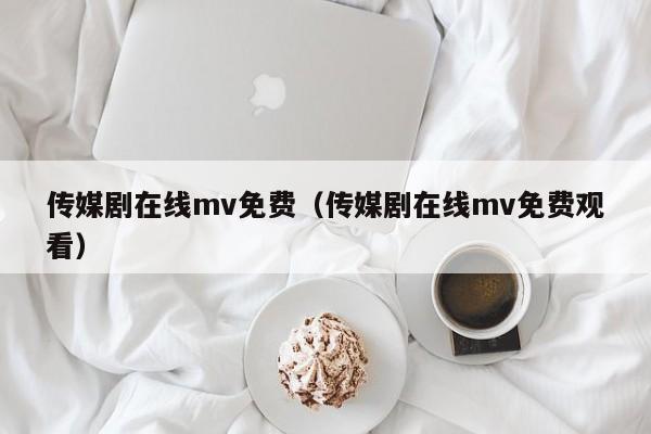 传媒剧在线mv免费（传媒剧在线mv免费观看）