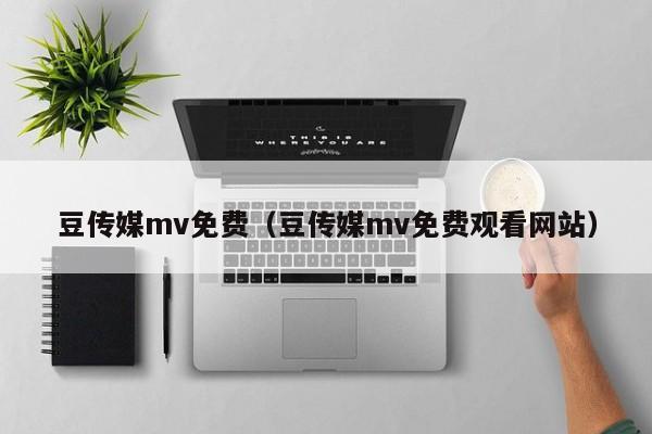 豆传媒mv免费（豆传媒mv免费观看网站）